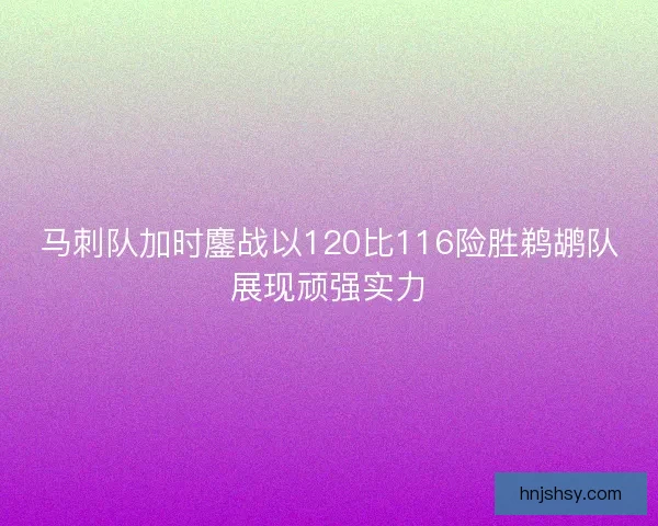 马刺队加时鏖战以120比116险胜鹈鹕队展现顽强实力