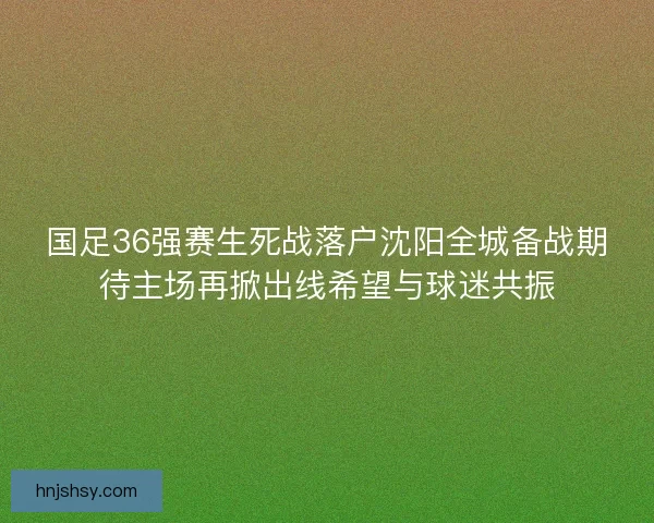 国足36强赛生死战落户沈阳全城备战期待主场再掀出线希望与球迷共振
